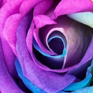 Meet your Posher, Candice